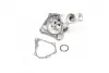 Водяной насос (кор.код. WPQ0545) MagnetiMarelli MAGNETI MARELLI 352316170545 (фото 4)