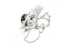 Насос воды MB C-class (W202/S202/W203/S203)/E-class (W210/S210) 2.2/2.7CDI 97-09 (WPQ0674) MAGNETI MARELLI 352316170674 (фото 2)