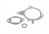 Насос воды Mazda 323 1.5 16V/1.8 16V/1.6 94-04/MX-5 1.6/1.8 98-05 MAGNETI MARELLI 352316170751 (фото 5)