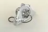 Водяний насос (кор.код. WPQ0914) MagnetiMarelli MAGNETI MARELLI 352316170914 (фото 2)