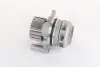 Насос воды Audi A3/A4/A6/VW Caddy III 1.9/2.0 TDI 95-10 (WPQ1180) MAGNETI MARELLI 352316171180 (фото 1)