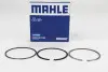 Кільця поршневі Fiat Doblo 1.9JTD 01- (82.00mm/STD) (2-2-2) MAHLE / KNECHT 009 81 N0 (фото 1)