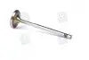 Клапан впускний IN VAG 1,2/1,6 16V 29.5x6x100.9 (Mahle) MAHLE / KNECHT 029 VE 30528 000 (фото 1)