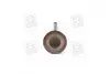 Клапан впускний IN VAG 1,2/1,6 16V 29.5x6x100.9 (Mahle) MAHLE / KNECHT 029 VE 30528 000 (фото 4)