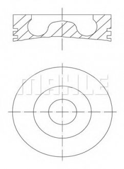 Поршень MAHLE / KNECHT 039 PI 00113 000 (фото 1)