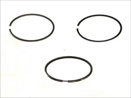 Кольца поршневые OPEL/ISUZU 79,00 1,7D 4EE1 (Mahle) Mahle MAHLE / KNECHT 629 20 V0