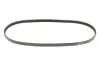 Ремень генератора Fiat Doblo 1.6i 01- (4PK875) MEYLE 050 004 0875 (фото 1)