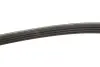 Ремень генератора Fiat Doblo 1.6i 01- (4PK875) MEYLE 050 004 0875 (фото 3)