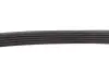 Ремінь генератора BMW 3 (E46)/5 (E39) 1.8D/2.0D 98-03 (5PK835) MEYLE 050 005 0835 (фото 3)