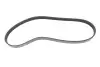 Ремінь генератора Citroen Berlingo 1.1/1.6 96- (5PK884) MEYLE 050 005 0884 (фото 1)