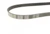 Ремінь генератора BMW 5 (E39)/7 (E32) 92-03 M60/S62 (5PK980) MEYLE 050 005 0980 (фото 2)