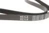 Ремень генератора Renault Trafic II 1.9dCi 01- (5PK1125) MEYLE 050 005 1125 (фото 3)