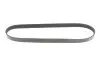 Ремінь генератора Peugeot Partner 10-/Citroen Berlingo 05- 1.6 HDI (6PK976) MEYLE 050 006 0976 (фото 4)