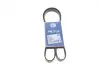 Ремень генератора Citroen Berlingo/Fiat Scudo 1.9D (1868) (6PK1438) MEYLE 050 006 1438 (фото 1)