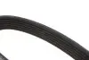 Ремень генератора Citroen Berlingo/Fiat Scudo 1.9D (1868) (6PK1438) MEYLE 050 006 1438 (фото 2)