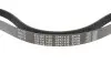 Ремень генератора Citroen Berlingo/Fiat Scudo 1.9D (1868) (6PK1438) MEYLE 050 006 1438 (фото 3)
