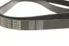 Ремінь генератора Peugeot Expert/Citroen Berlingo 1.9D/TD 96-/2.0HDI 00- (6PK1740) MEYLE 050 006 1740 (фото 2)