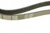 Ремінь генератора MB Sprinter CDI (-AC) (з обводним роликом) (6PK2255) MEYLE 050 006 2255 (фото 3)