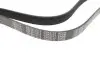 Ремень генератора Ford Transit 2.4 TDCI 00-06 (7PK2713) MEYLE 050 007 2713 (фото 2)