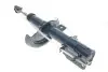 Амортизатор (передний) Citroen Jumpy/Fiat Scudo/Peugeot Expert 07-(L) MEYLE 40-26 623 0019 (фото 7)
