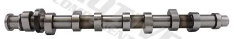 Розподільчий вал AUDI A3, A4 B5, A4 B6, A4 B7 SEAT ALTEA, ALTEA XL, EXEO, EXEO ST, LEON, TOLEDO III SKODA OCTAVIA I, OCTAVIA II VW BORA, BORA I, CADDY III 1.6/1.6ALK/1.6LPG 06.00-05.15 MOTIVE T2184