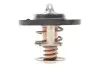 Термостат Ford Transit Courier/Fiesta/Focus/Mondeo 1.0/1.1 14- (91°C) MOTORAD 36391K (фото 1)