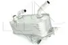 Радиатор масляный BMW 3 (E90) (N52/N53)/X1 (E84) (N20/N52) 04-13 (теплообменник) (АКПП) NRF 31279 (фото 3)