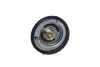 Термостат Ford Fusion/Fiesta/Focus 1.2-1.6 98-(82˚C) NRF 725159 (фото 1)