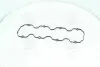 Прокладка крышки клапанной DAEWOO Lanos A13SMS/A14SMS/A15SMS PARTS MALL PARTS-MALL P1G-C011 (фото 3)