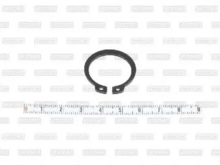 Запобіжне кільце PASCAL CIRG7W01PC (фото 1)