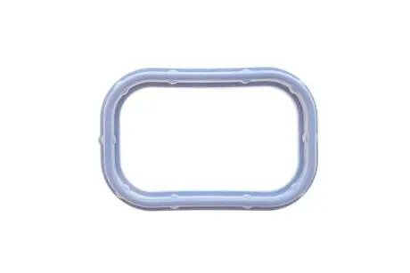 Прокладка впускного коллектора Citroen Jumper/Peugeot Boxer 2.2HDI 06- Peugeot/Citroen 0348.T1