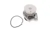 Насос води Skoda Fabia/Octavia/Seat Ibiza/Cordoba/VW Caddy/Golf/Polo 1.4/1.4 16V 00- PIERBURG 7.07152.34.0 (фото 1)