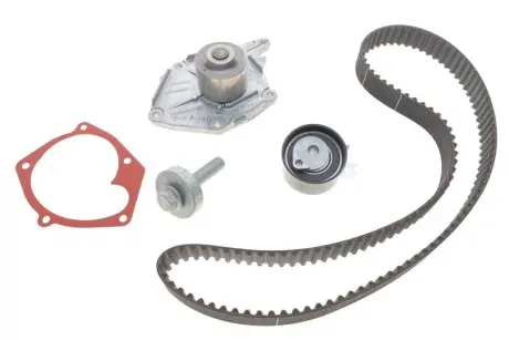 Комплект ГРМ + помпа Kangoo 1.5dCi 01- RENAULT 119A02421R