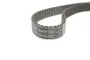 Комплект ГРМ + помпа Clio III/Megane II/III/Scenic II/Trafic 2.0 16V 01- (27x126z) RENAULT 119A06559R (фото 4)