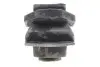 Подушка двигателя (L) Kangoo 1.5dCi/1.6 08- RENAULT 8200358147 (фото 4)