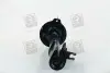 Амортизатор подв. CHEVROLET Lacetti 04- задн. RIDER RD.2870.333.420 (фото 2)