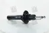 Амортизатор подв. SKODA OCTAVIA 04-/VW Caddy 04-передн. (25мм/55мм) RIDER RD.3470.335.808 (фото 1)