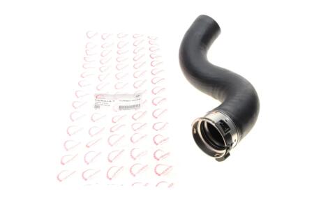 Патрубок интеркулера Renault Megane III/Scenic III 1.9 dCi 08- ROTWEISS RWS2376
