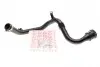 Патрубок інтеркулера Renault Fluence/ Scenic III/Megane III 1.5dCi 09- ROTWEISS RWS2694 (фото 1)