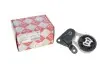 Подушка КПП Ford Fiesta 1.3/1.4i/1.6 TDCi 01- (косточка) ROTWEISS RWS3516 (фото 1)