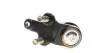 Опора кульова (передня/знизу) Toyota Camry 91-02 RTS 93-02565 (фото 3)