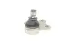 Опора шаровая (передняя/снизу) Fiat Doblo/500L 10-/Opel Combo 12- (d=18mm) RTS 93-90118-056 (фото 7)