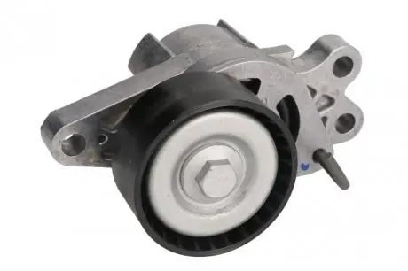 Натяжник ремня генератора Citroen Berlingo 1.1-1.6 96- (60x26) SKF VKM 33300