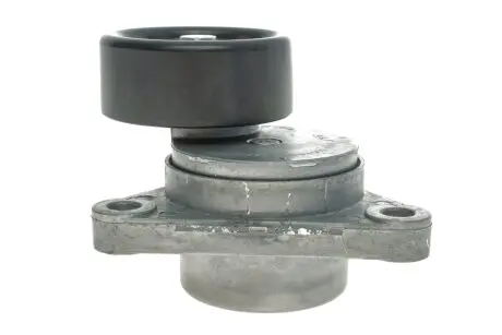 Натяжник ремня генератора Chevrolet Aveo/Lacetti 1.4-1.6 03- (76x26) SKF VKM 60014