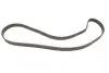 Комплект ГРМ Fiat Brava/Bravo/Doblo/Palio/Punto/Stilo 1.9D/JTD 01- (24x190z) SKF VKMA 02192 (фото 5)