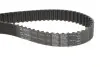 Комплект ГРМ Fiat Scudo 2.0i 16V 00-06 (25.1x153z) SKF VKMA03235 (фото 4)