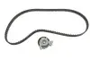 Комплект ГРМ Opel Astra F/Omega A/B/Vectra A/B 1.6/1.8/2.0i 88-03 (20x146z) SKF VKMA 05402 (фото 1)
