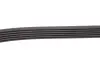 Комплект ремня генератора Skoda Fabia/VW Polo 1.0/1.6 14- (6PK989) SKF VKMA 31276 (фото 6)