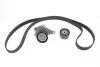 Комплект ременя генератора Renault Trafic 2.0DCI 06- (7PK1687) SKF VKMA 36132 (фото 1)