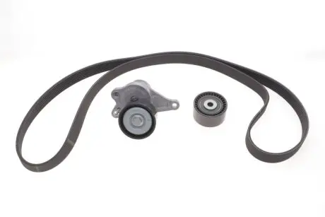 Комплект ремня генератора Renault Trafic 2.0DCI 06- (7PK1687) SKF VKMA 36132